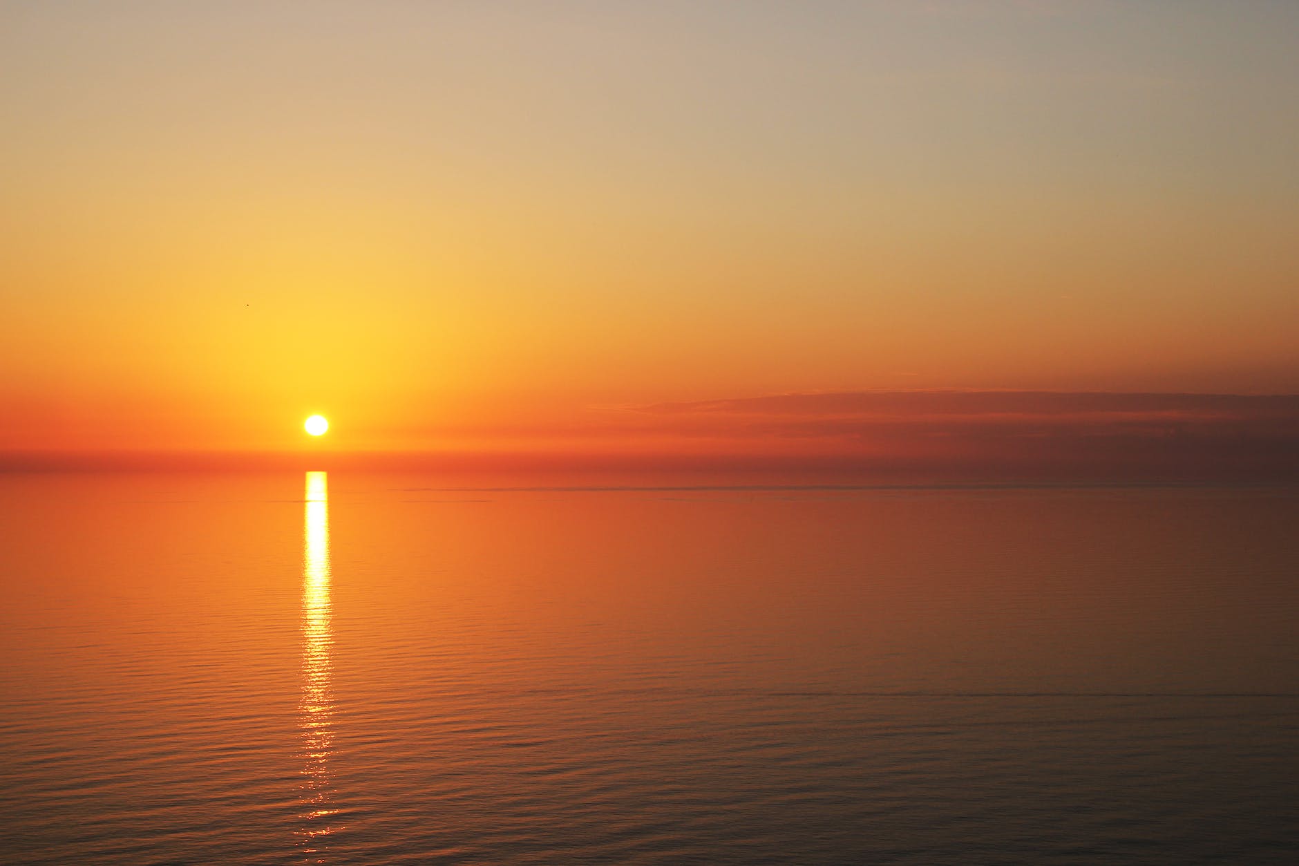 Archiving Galaxy Online 2 items